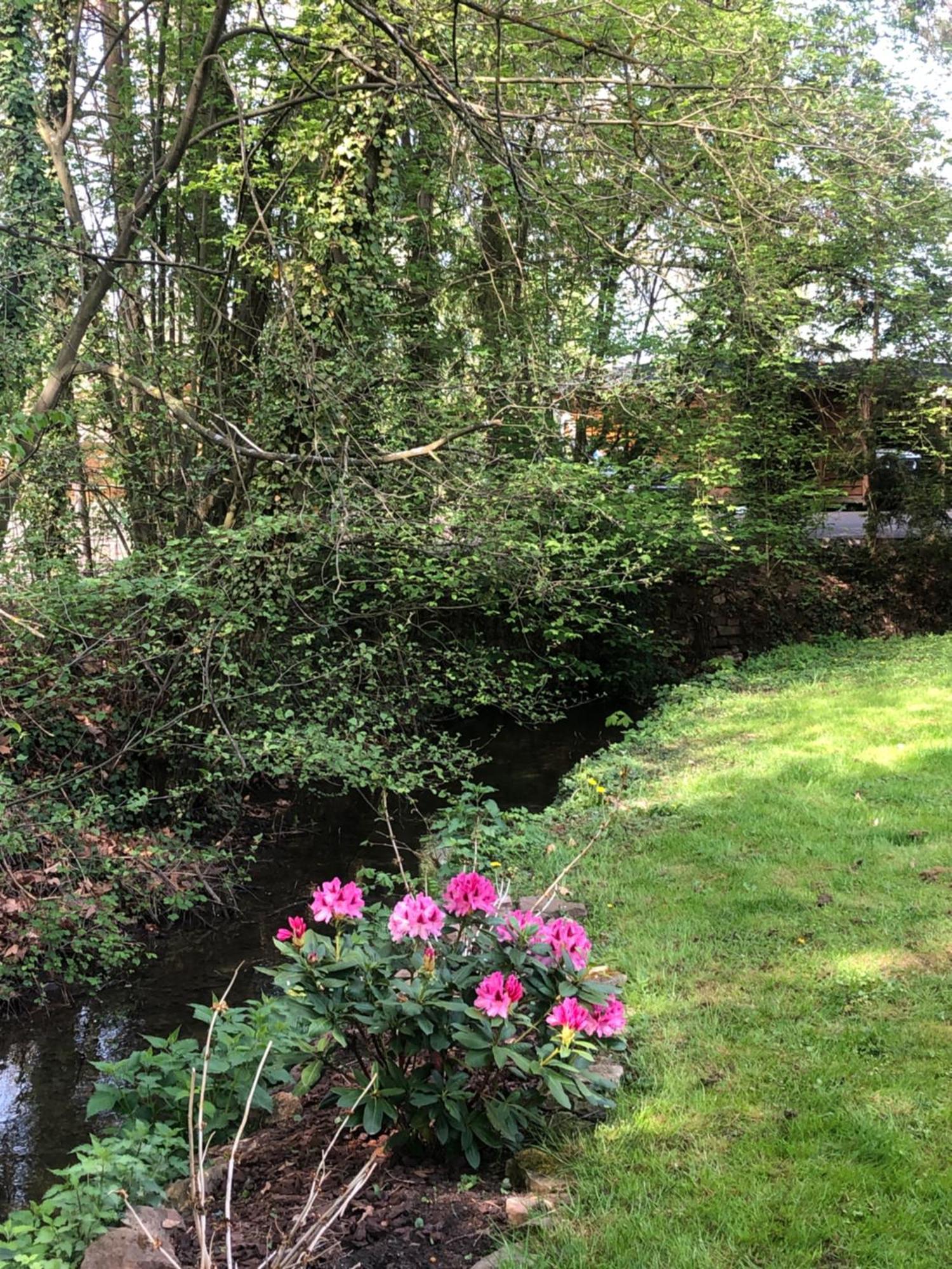Le Petit Woerthel Villa Wolxheim Ngoại thất bức ảnh